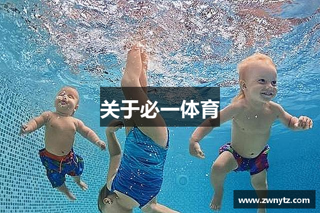 关于必一体育